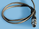 4-pin XLR with Velcro tie