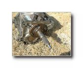 [Click to enlarge image]