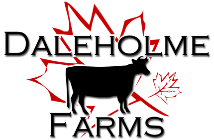 Dalehomle Logo Color 2