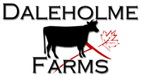 Dalehomle Logo Simple Color White BG1