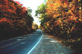 A Quiet Road To The Beach