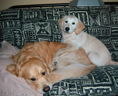Larz and Edie