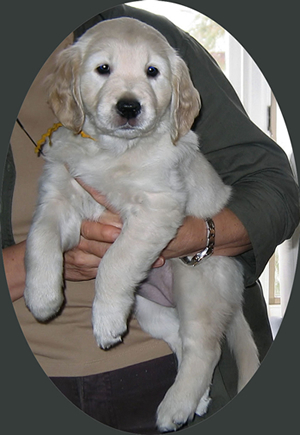 Edie
