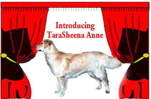 Tarasheena Anne Frost