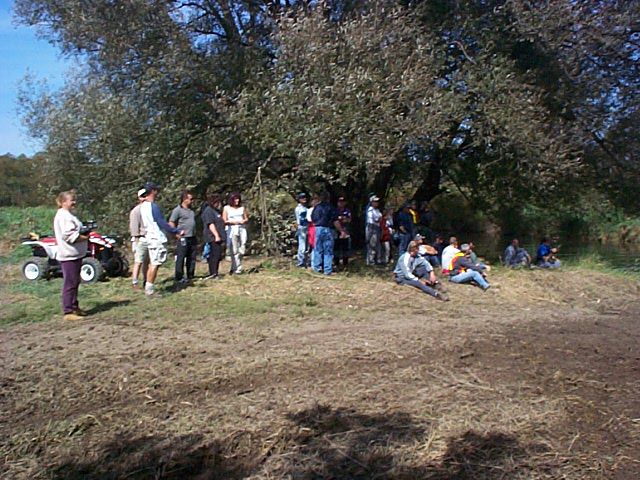 ..and the crowd patiently waits