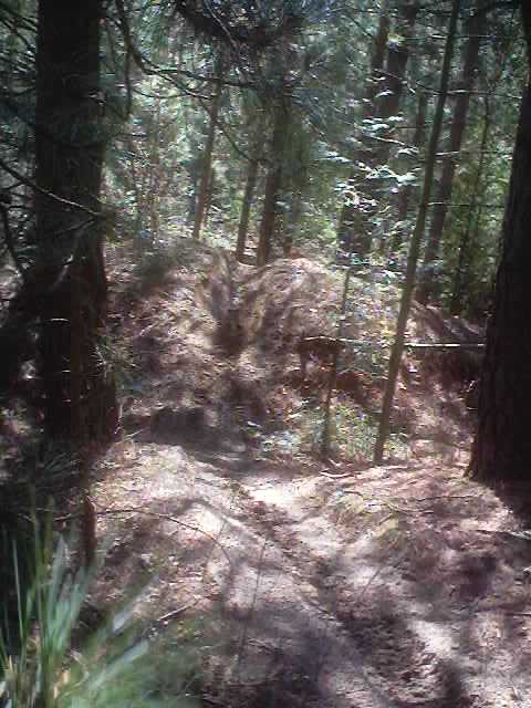special test