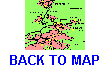 BACK TO MAP