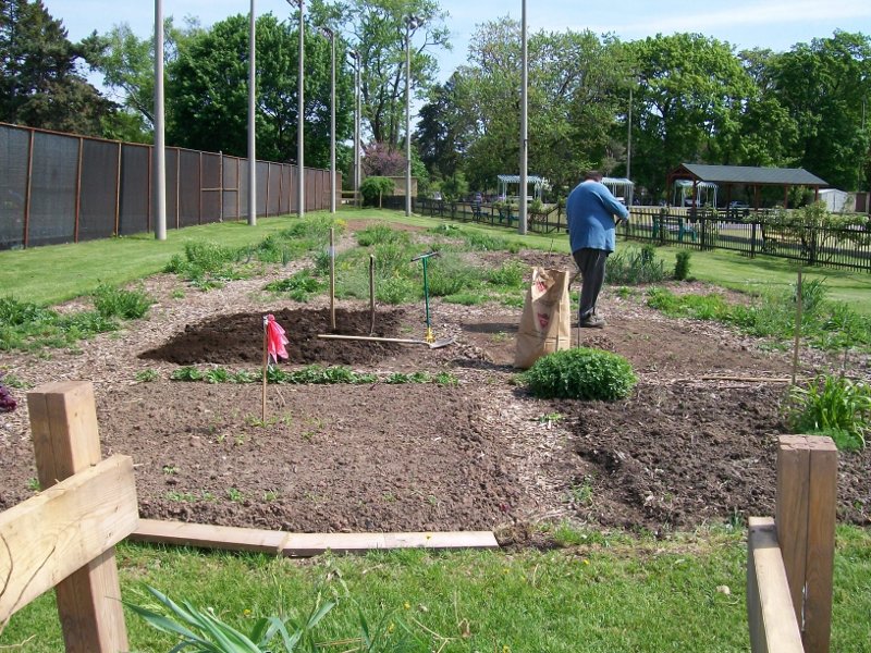 Gage Park Community Garden Early Arrival Early View JPG IMAGE