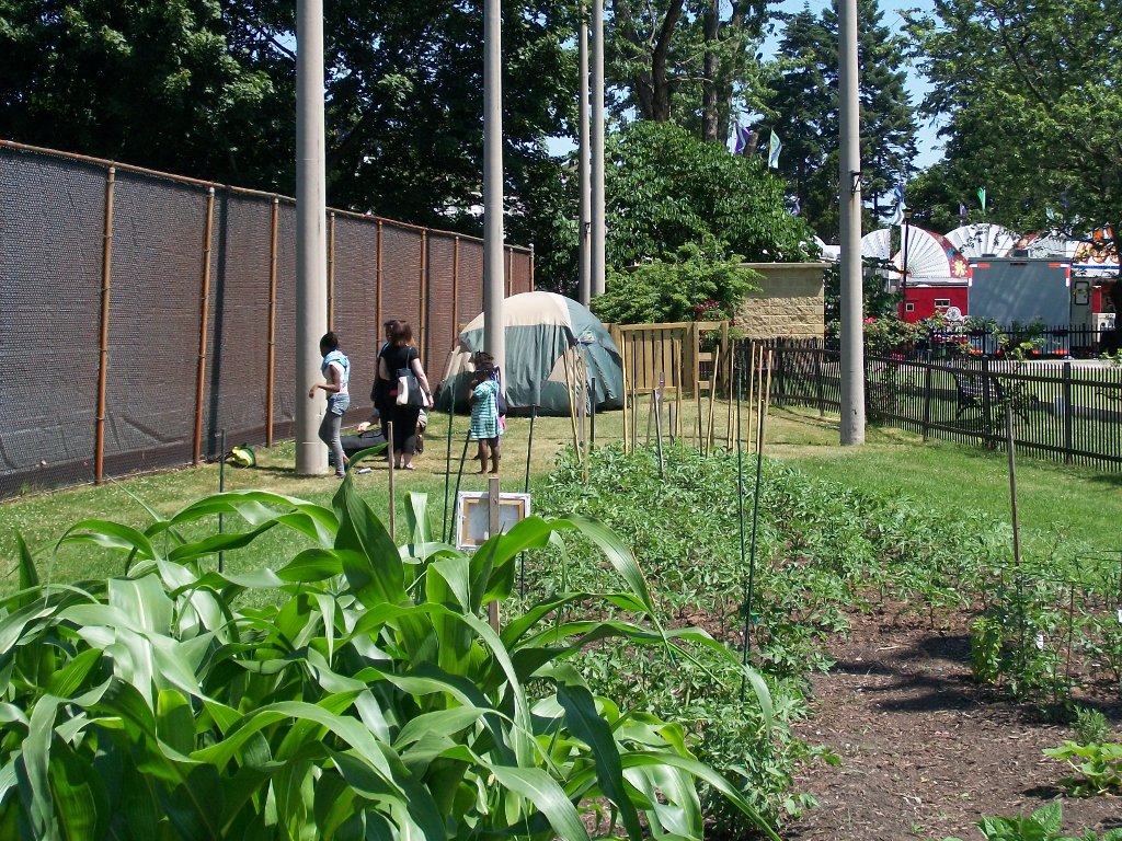 Garden JPG Image