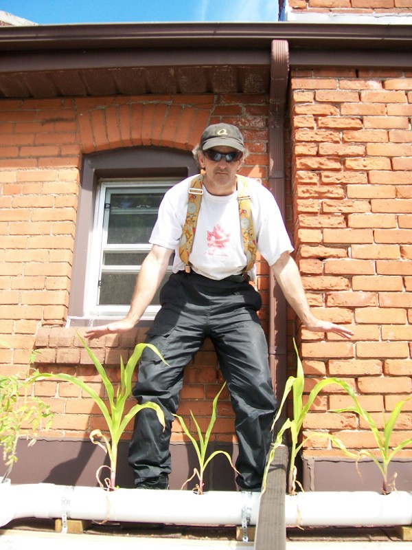 WRCU2's Roof-Grown Corn is Knee-High by the 4th of July Corny WRCU2 JPG Image