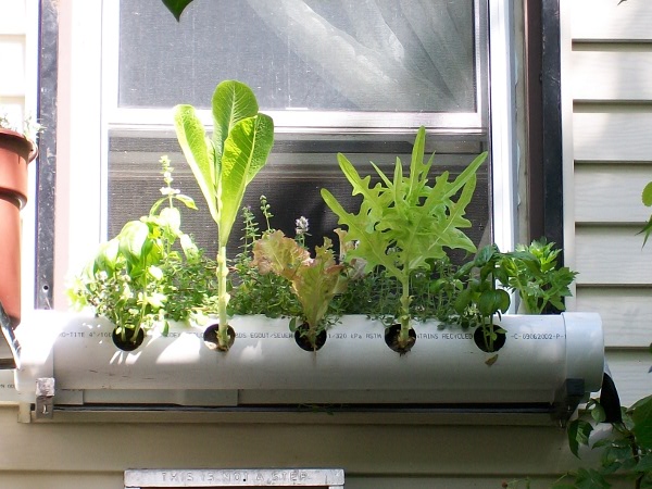 The Freshest Salad Bar In Hamilton TracyToob JPG Image