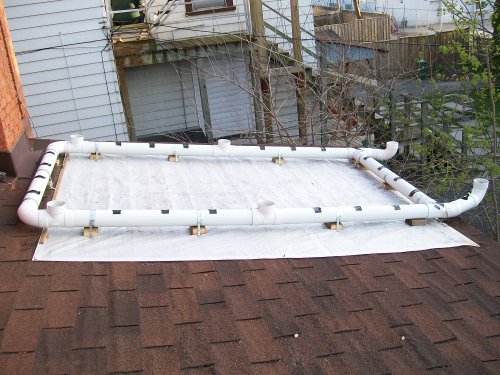 Ready For Planting WRCU2 JPG IMAGE