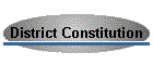 District Constitution