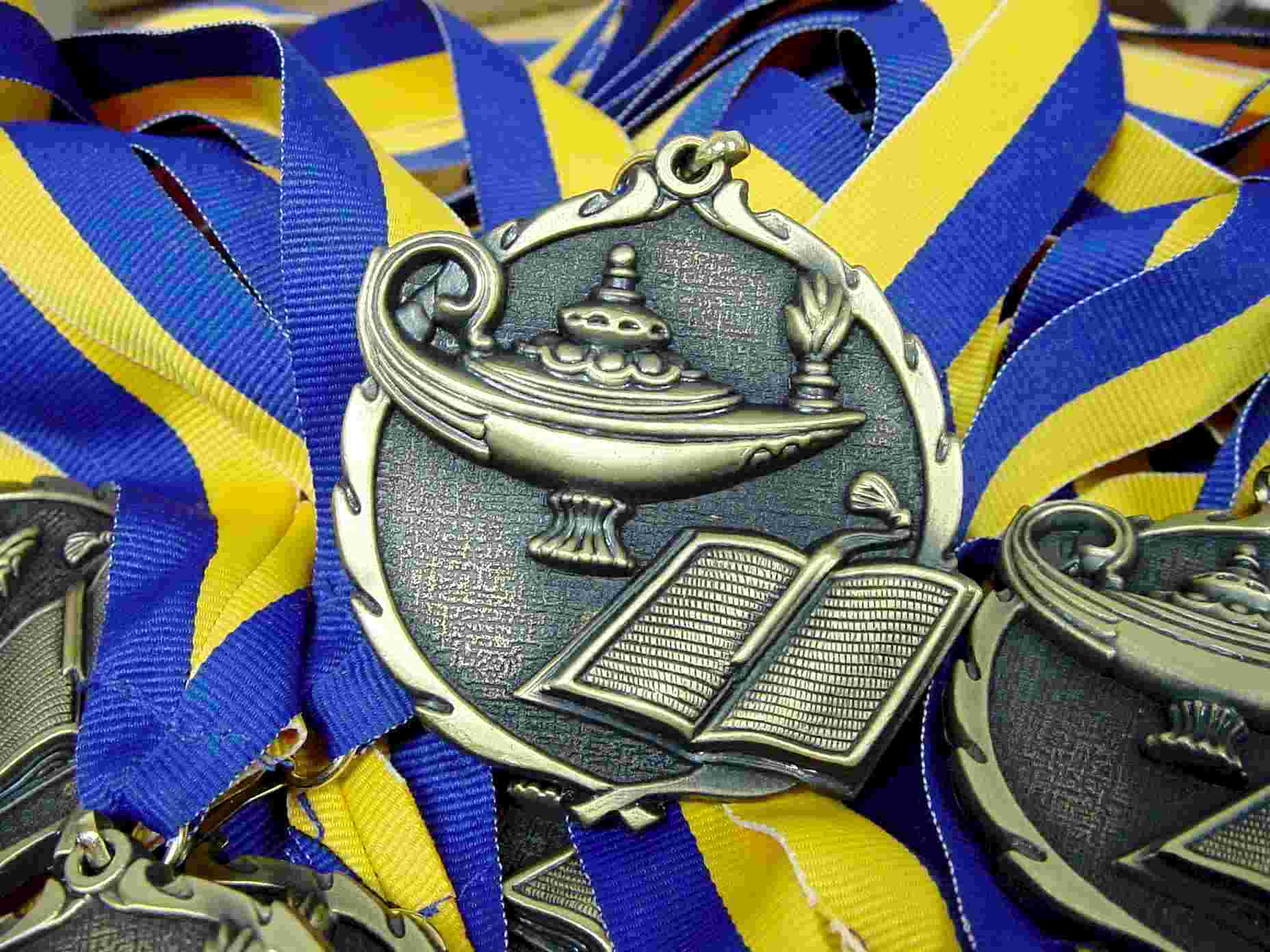 District 11 Drysdale Medallion