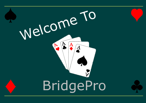 Welcome To BridgePro