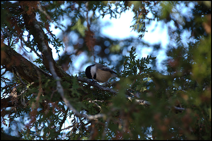 Testing the D7000