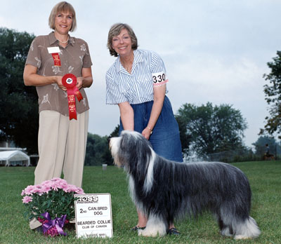 Baillie went to his first BCCC Specialty. He won 2nd in his class with mommy showing him