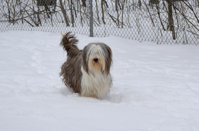 Briana out playing in the snow