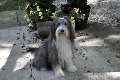 Kyla posing in front of the flowers