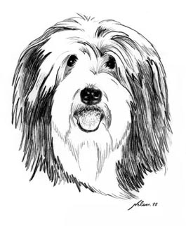 Windheath Bearded Collies logo
