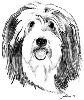 a head study of Megan done in pencil - Windheath's logo.