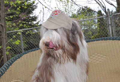 Rhys thinks he is a cool dude wearing his cap on his first birthday