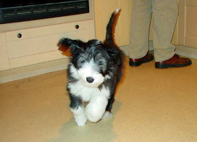 Kyla running in the kitchen