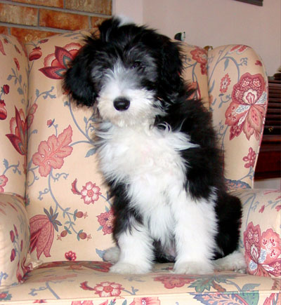 Kyla "sitting pretty" for a photo n the good furniture