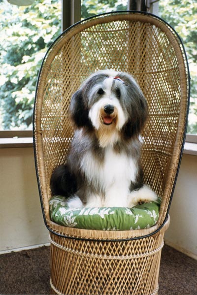 10 month old Megan is sitting on a wicker high back chair in the screened-in porch.