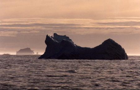 Bergs
